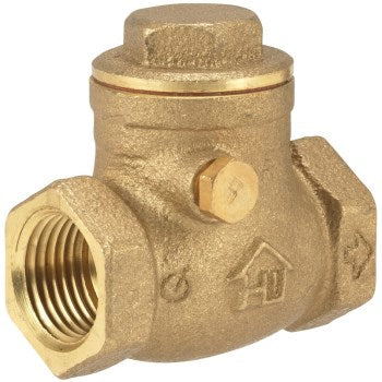 Homewerks Worldwide 240-2-12 1/2 Check Valve